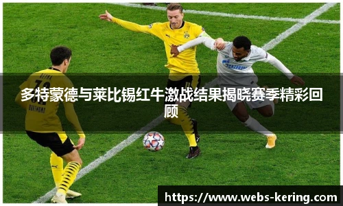 多特蒙德与莱比锡红牛激战结果揭晓赛季精彩回顾