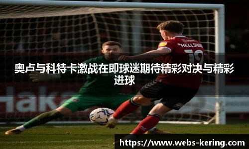 开云app